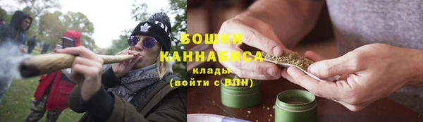 прущие грибы Балахна