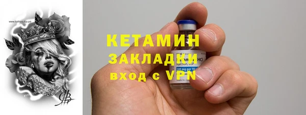 прущие грибы Балахна