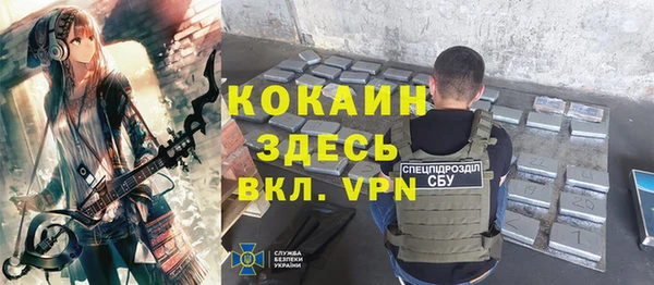 прущие грибы Балахна