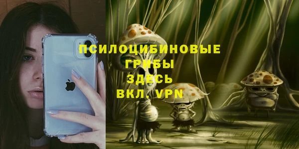 прущие грибы Балахна