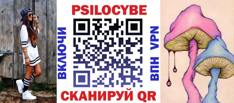Псилоцибиновые грибы ЛСД  дарк нет какой сайт  Грязовец  мега ссылка 