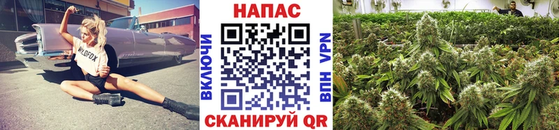Шишки марихуана семена  купить   Грязовец 